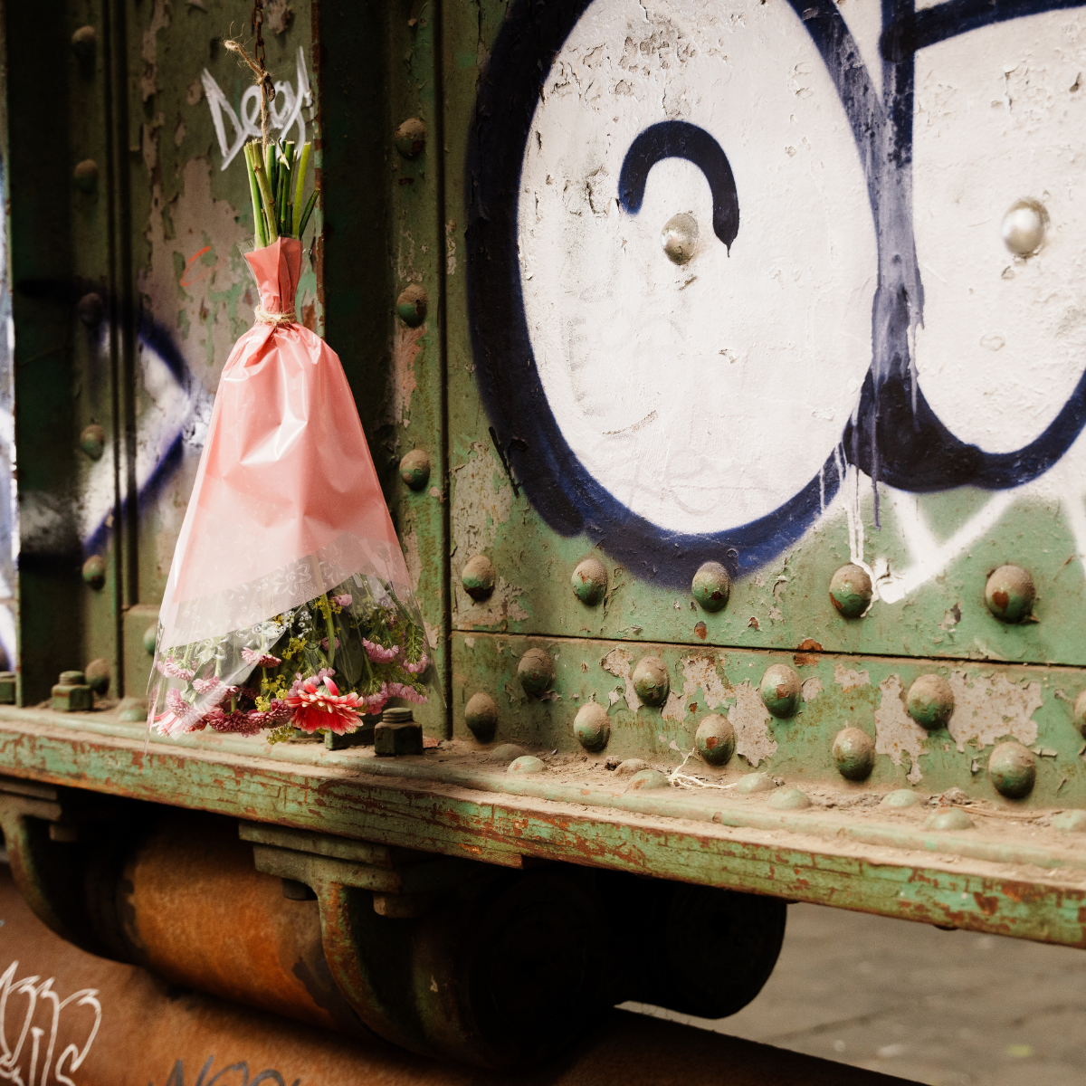 Alba Passion Sleeve - 50x40x12cm - Packed by 50