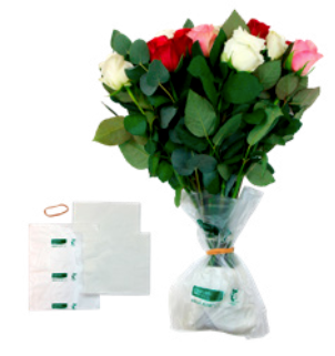 Chrysal Arrive Alive Eco