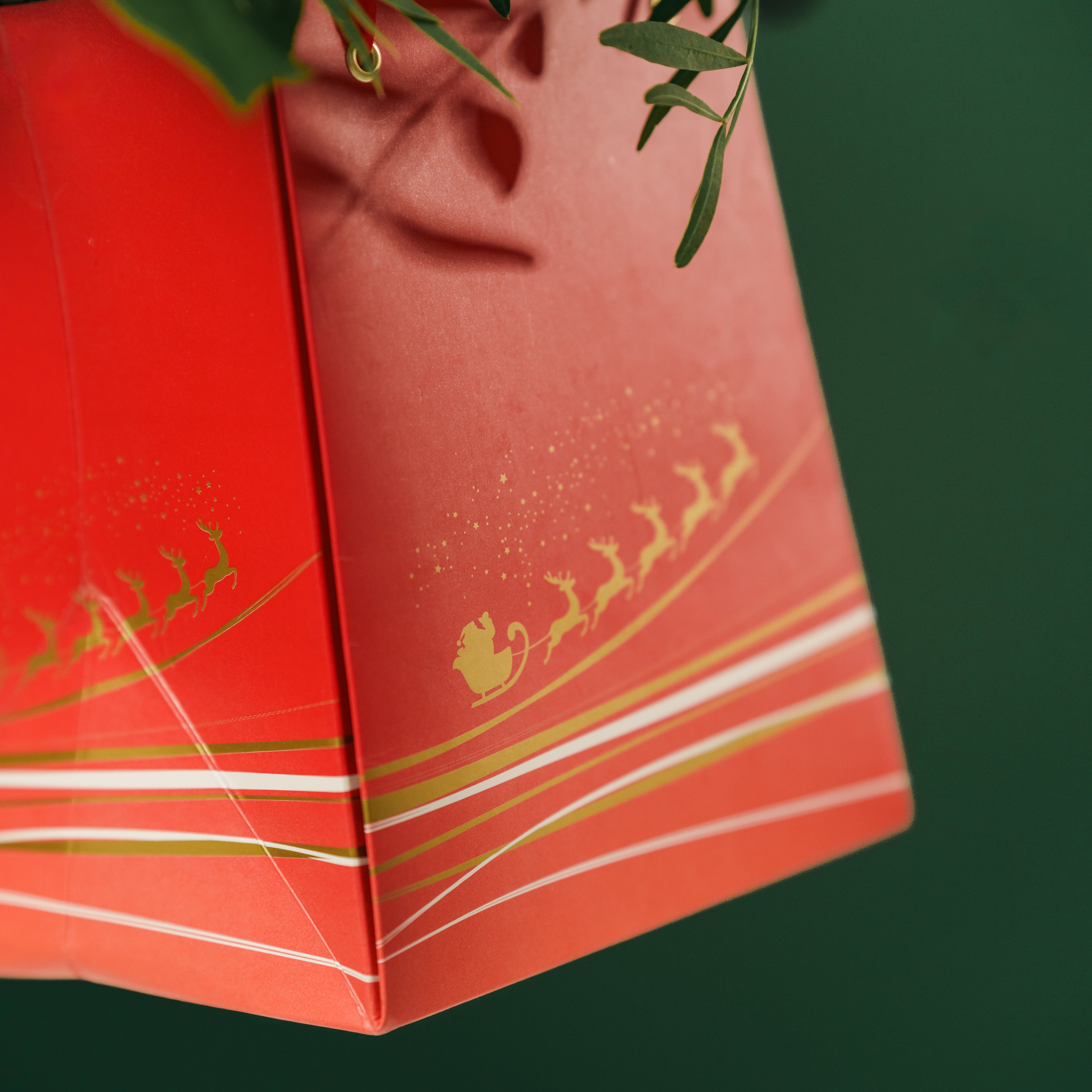 Deck the Halls with Sustainable Elegance: Discover Our Christmas Colle ...
