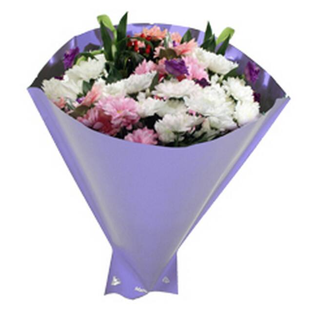 Metallic Sleeve Lavender