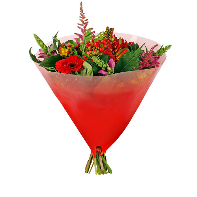 Angelo Usual Skirt Red