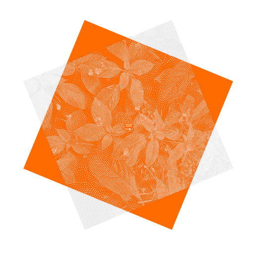 Enchanted Sheet Orange