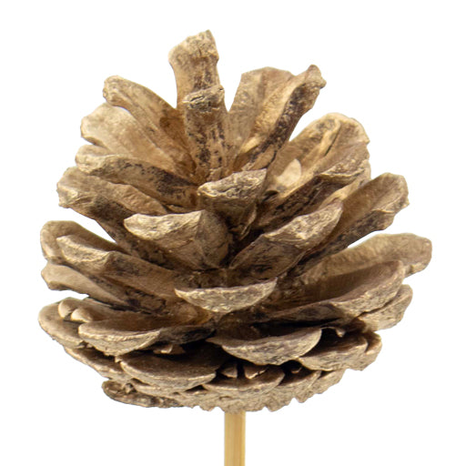 Pinecone Pick Gold